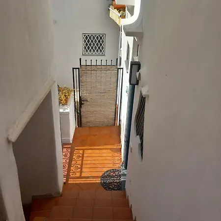 La Lucciola Holiday home